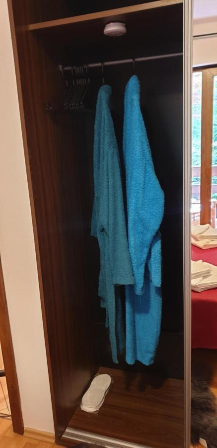Emma Apartament シナヤ エクステリア 写真