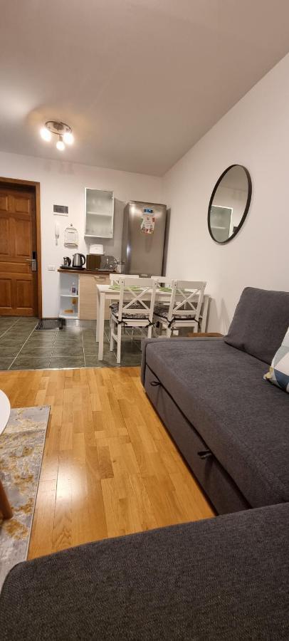 Emma Apartament シナヤ エクステリア 写真