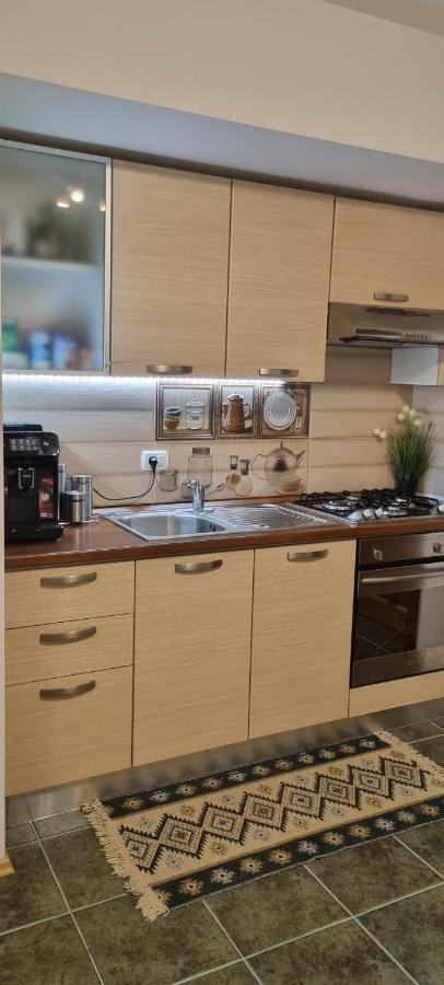 Emma Apartament シナヤ エクステリア 写真