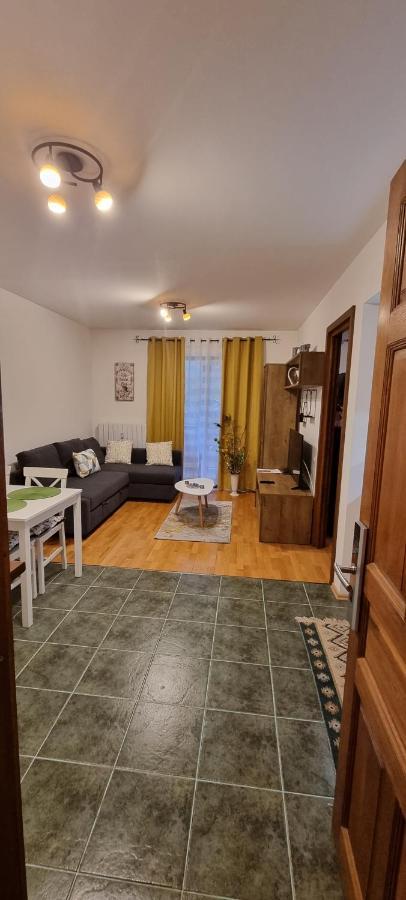 Emma Apartament シナヤ エクステリア 写真