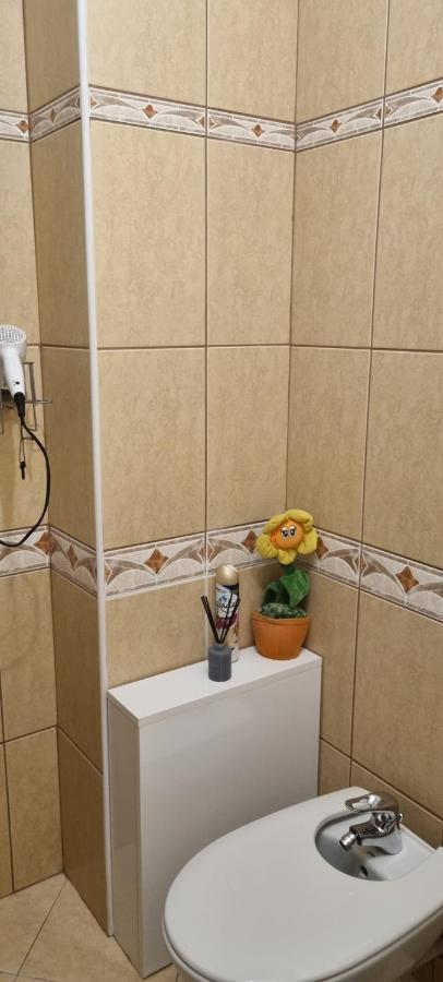 Emma Apartament シナヤ エクステリア 写真