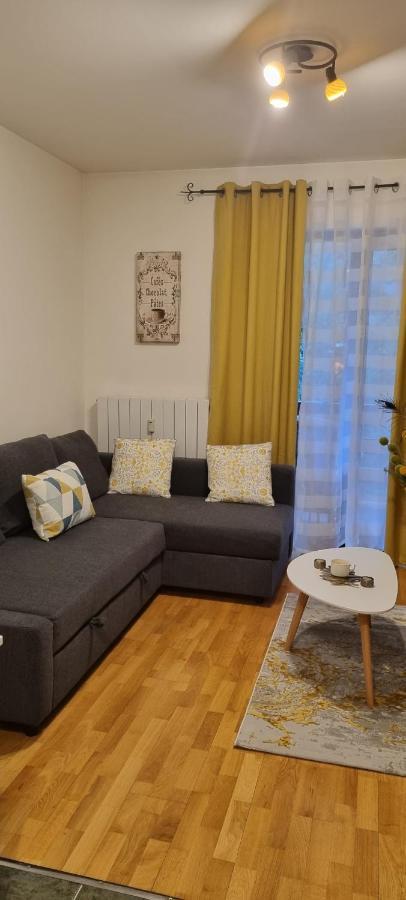 Emma Apartament シナヤ エクステリア 写真